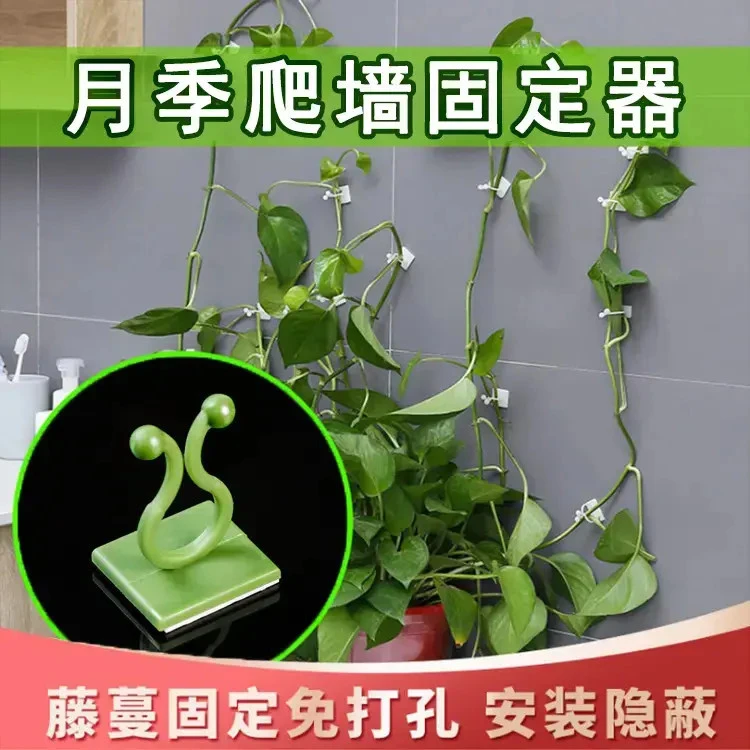 月季爬墙固定器绿萝上墙神器隐形无痕免打孔攀爬理线器