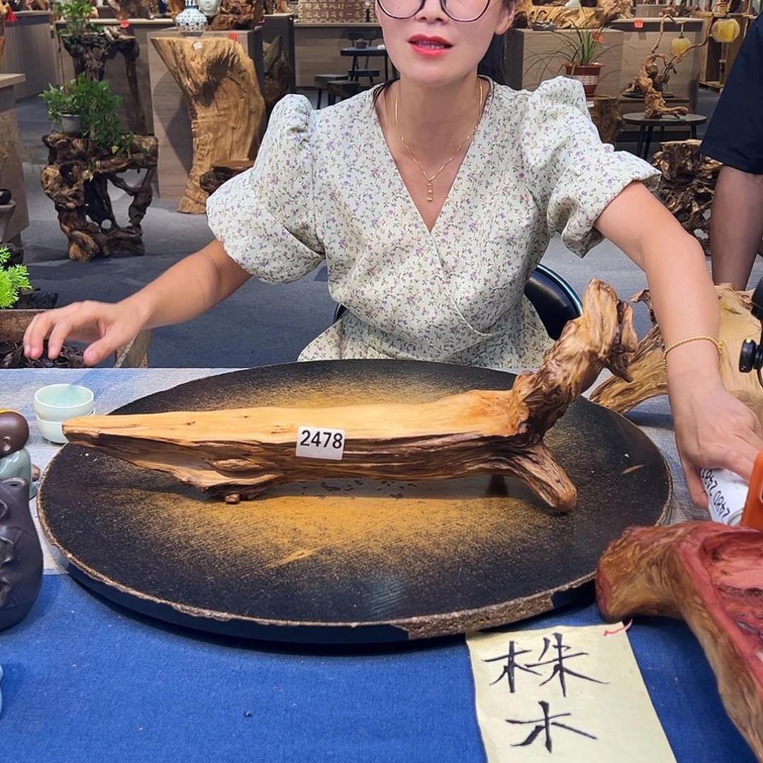 菀***猪木2478fghbjkgghhhh