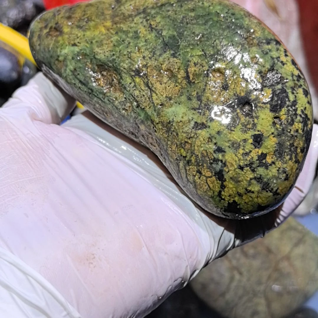 陈***乐藏玉药王石原石一个