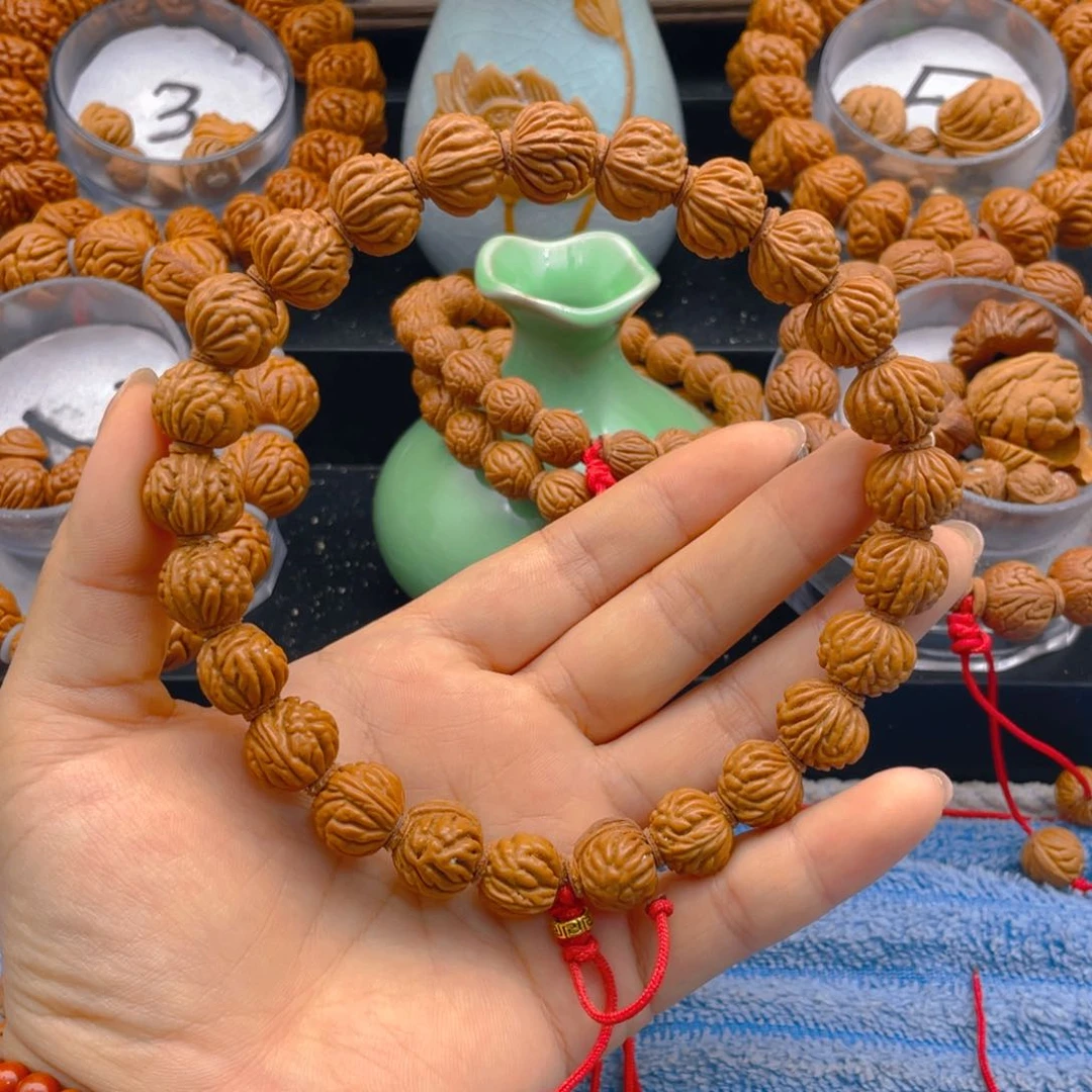 金蝉。红红火火。娜娜