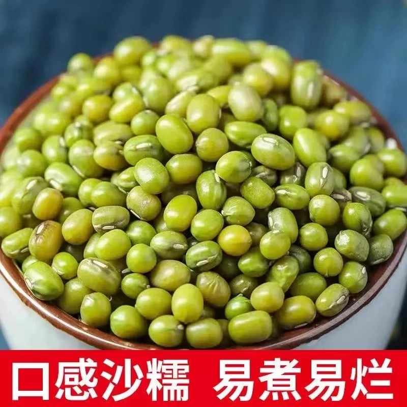 绿豆【绿豆500g】煮粥、甜品、煮饭
