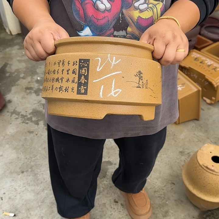 花盆紫砂这是我的