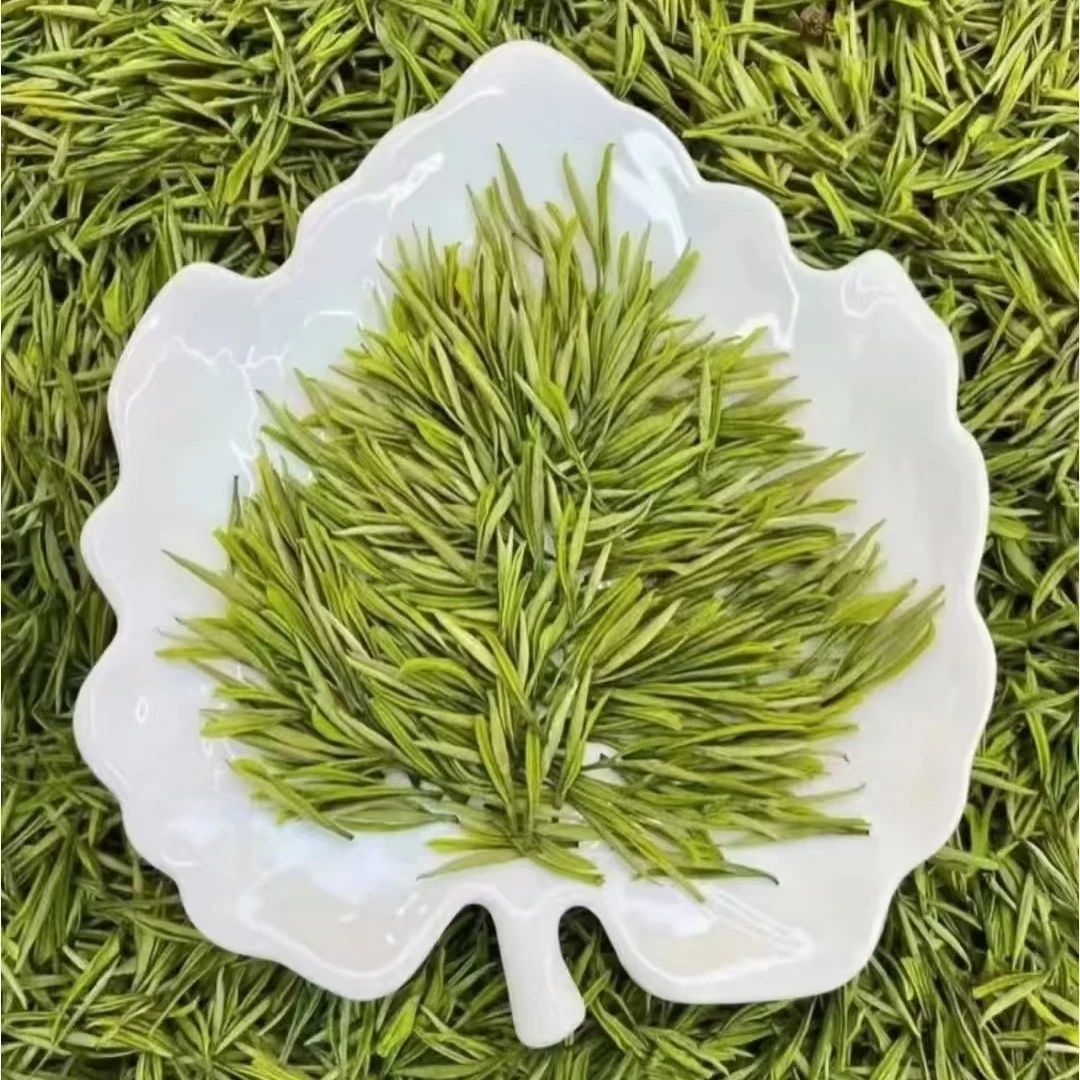 贵州正安白茶2025新茶高山白茶鲜爽甘甜头采春茶高端茶品