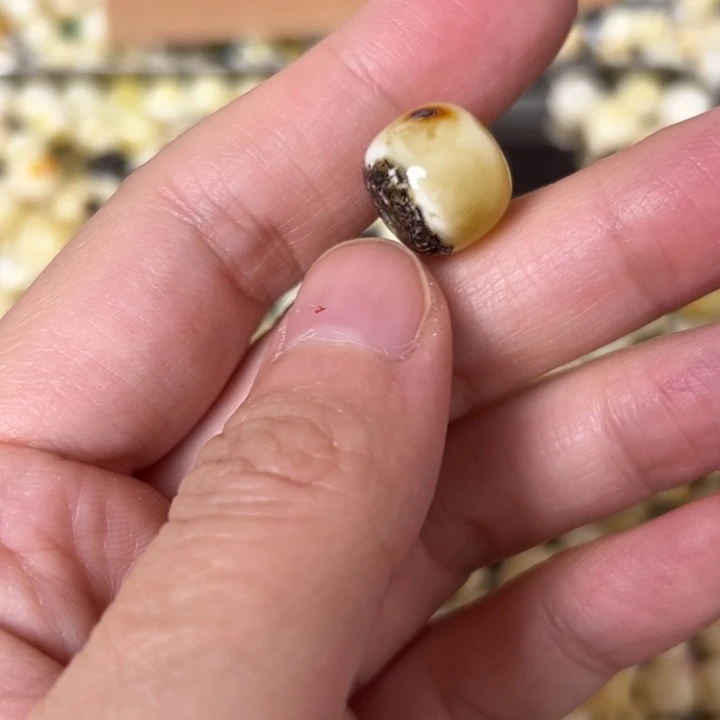 蜜蜡未镶嵌裸石12.6mm一个