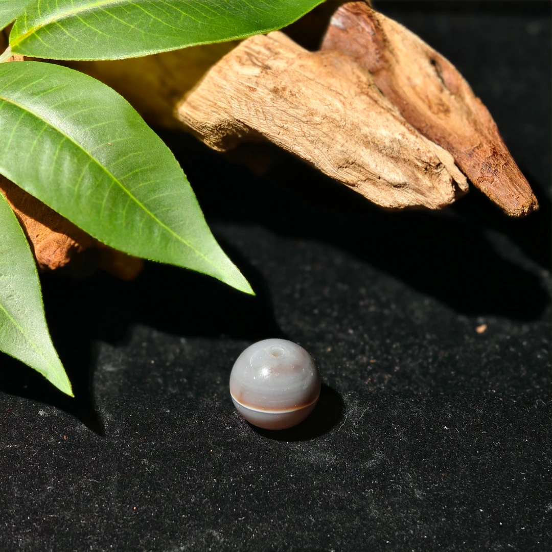 灰皮一线珠6372Z