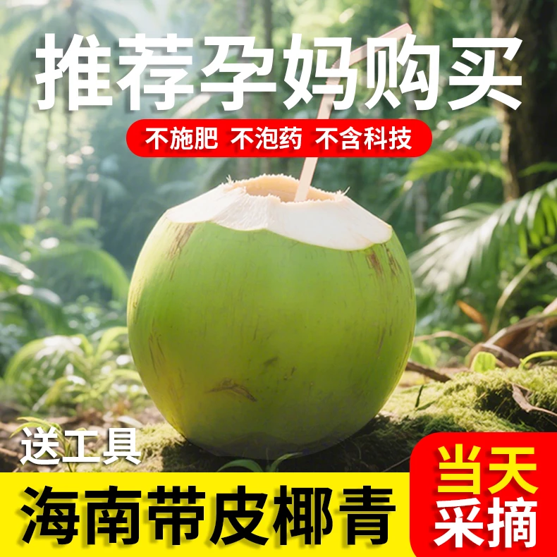 【粉丝专属】海南带皮椰青新鲜椰子现摘孕妇水果补羊水零添加电解质