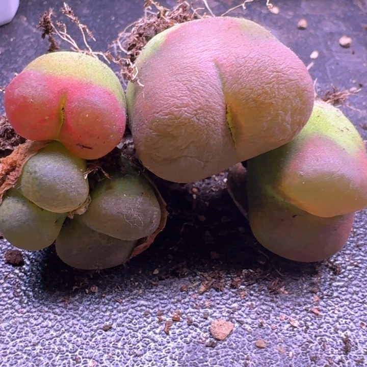 每****ᐝbbavcabnagsguususkskso