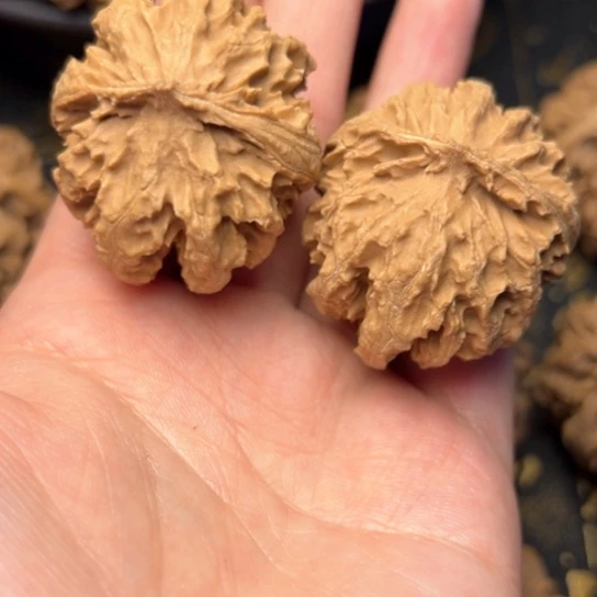 文玩核桃把件秦岭核桃3