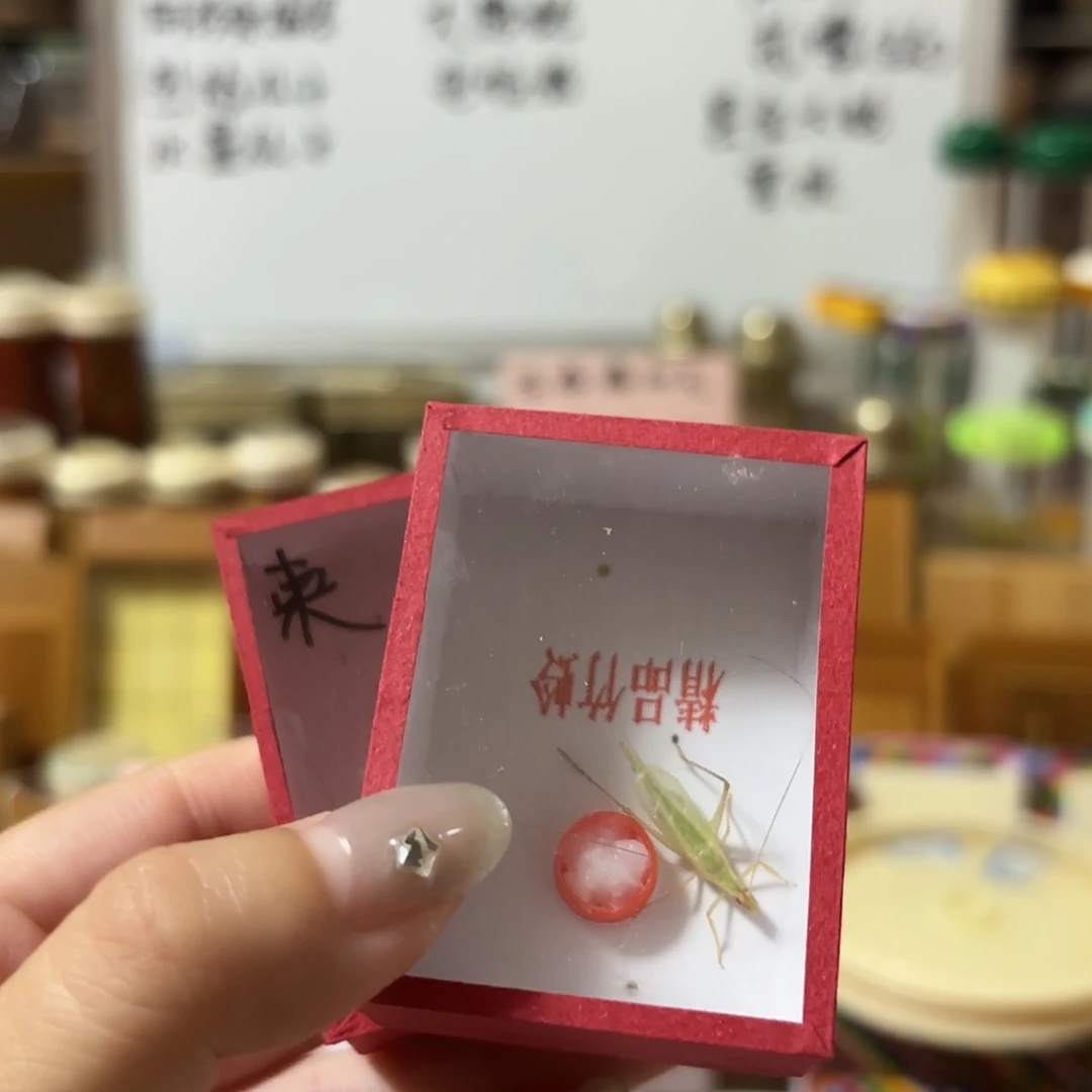 两条柬埔寨不包断须尾