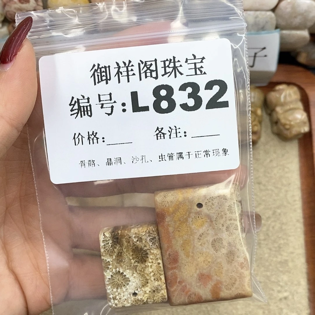 硅化珊瑚（珊瑚玉）L未镶嵌T***a