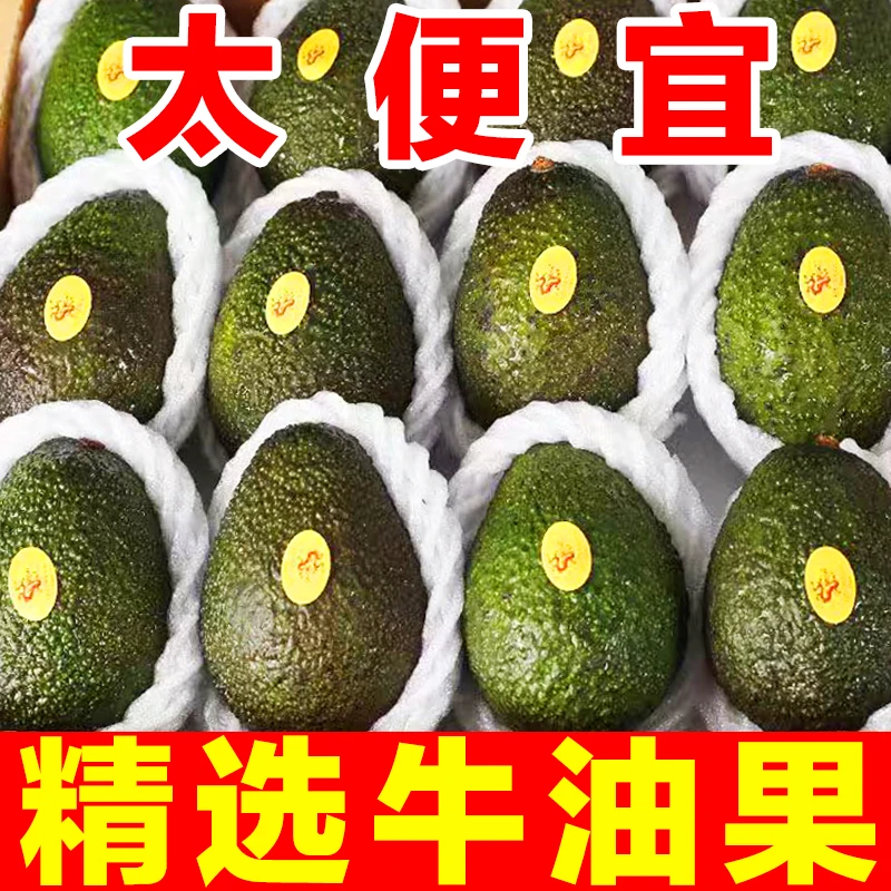 【大降价】进口哈斯牛油果宝宝孕妇水果新鲜鳄梨批发牛油果应季水果