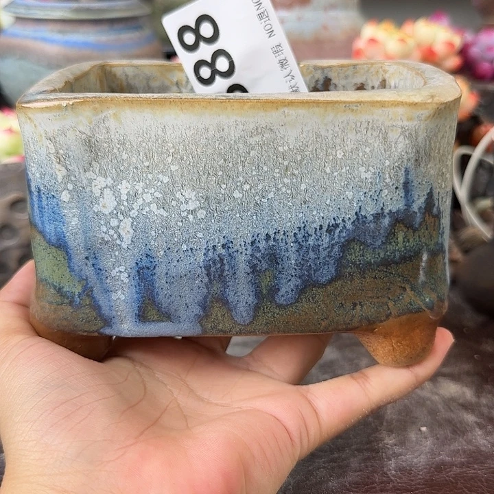 重庆小燕子欢迎大家388