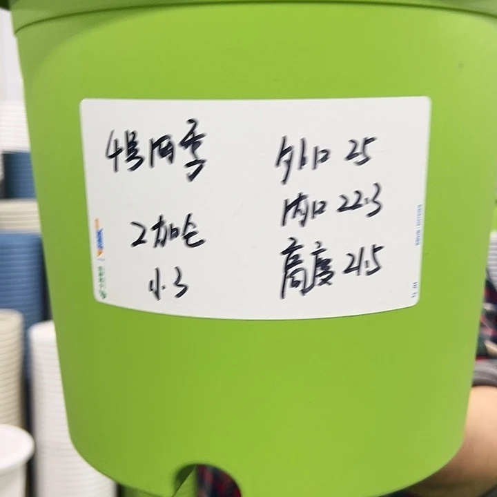 特价4号四季口25高21白色8个无托