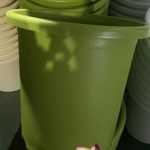 树脂四季7号果绿无托6个特价