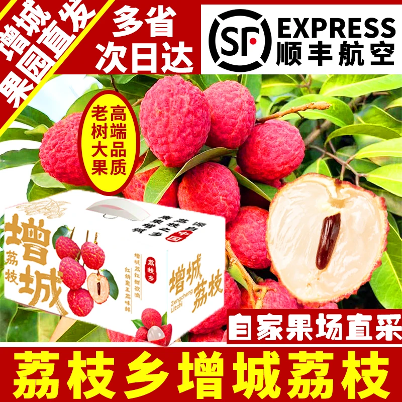 正宗增城桂味荔枝产地新鲜现摘王广东桂味荔枝桂花香10斤礼盒