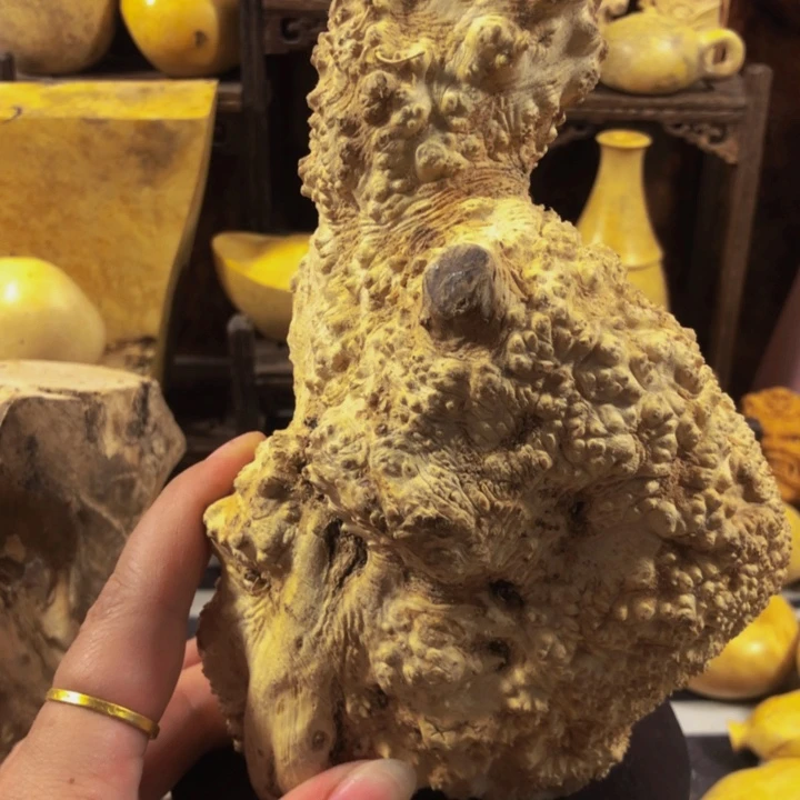 @***叉木木料木料木料木料