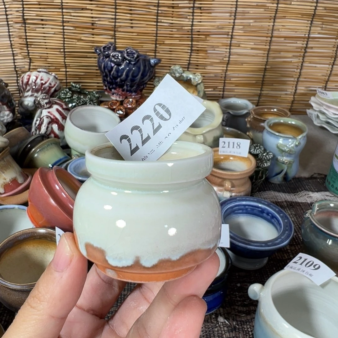 红陶景德镇陶瓷……