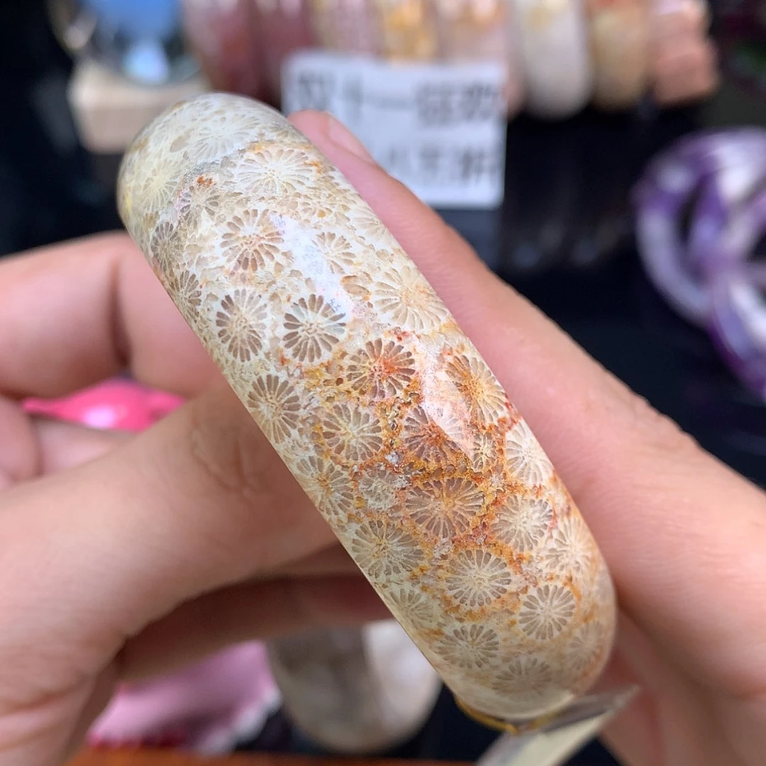 【闪购商品】颈饰未镶嵌硅化珊瑚（珊瑚玉）61号57.9圈双面雏菊