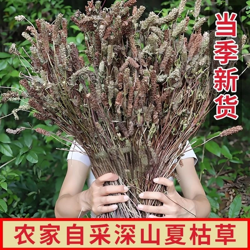 夏枯草【自采】 干草凉茶汤料正品新货无硫野生