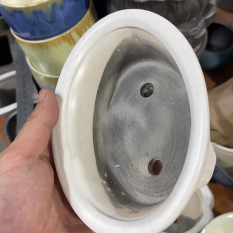 ［本产品默认微瑕品介意慎拍］