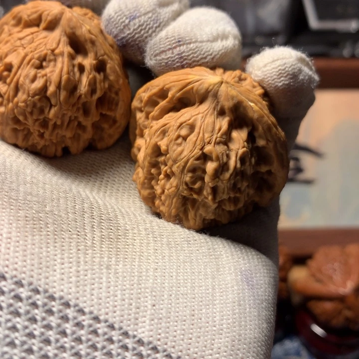 清***森哈哈哈哈哈哈哈哈哈