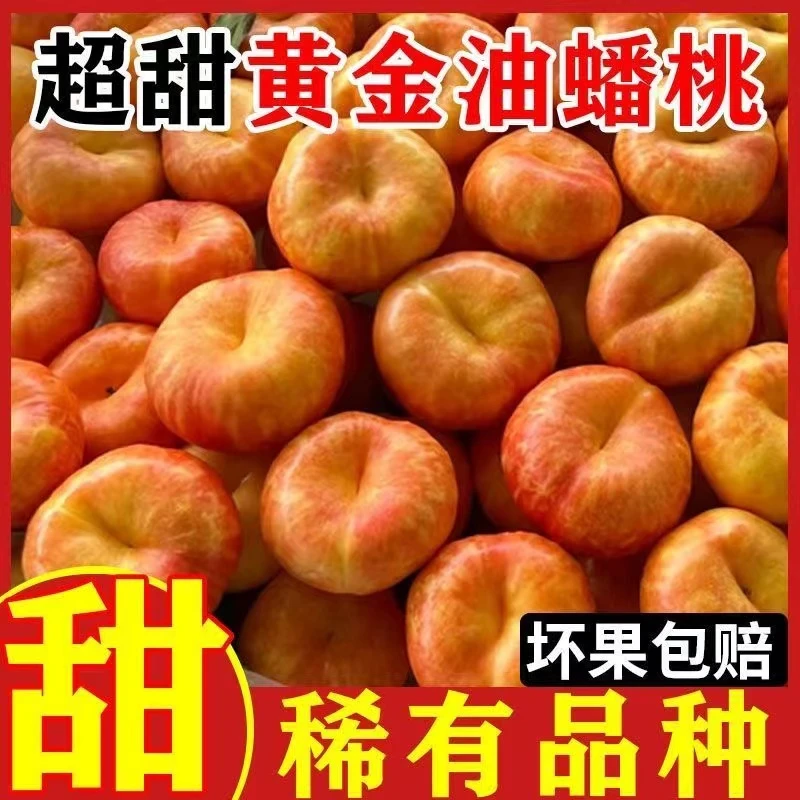 正宗蒙阴纯甜黄金彩虹蟠桃黄油蟠桃油桃黄油扁桃脆软两吃香甜现摘