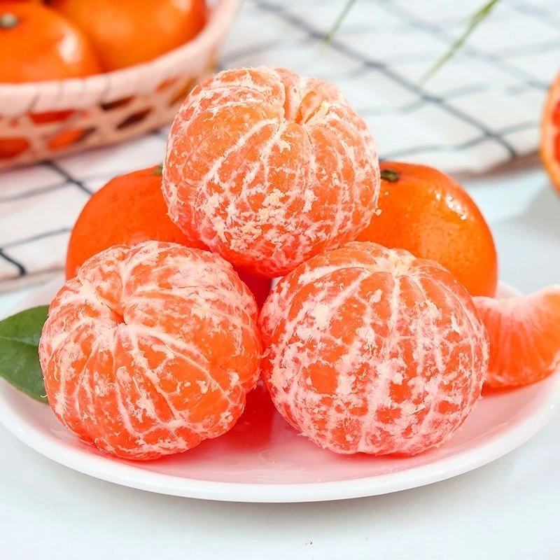 小耘乡湖南石门蜜橘柑桔酸甜多汁当季新鲜应季水果柑橘现摘现发