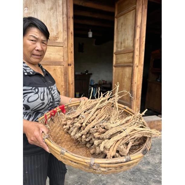 武都山里野党生干货山里采挖 无硫无熏染