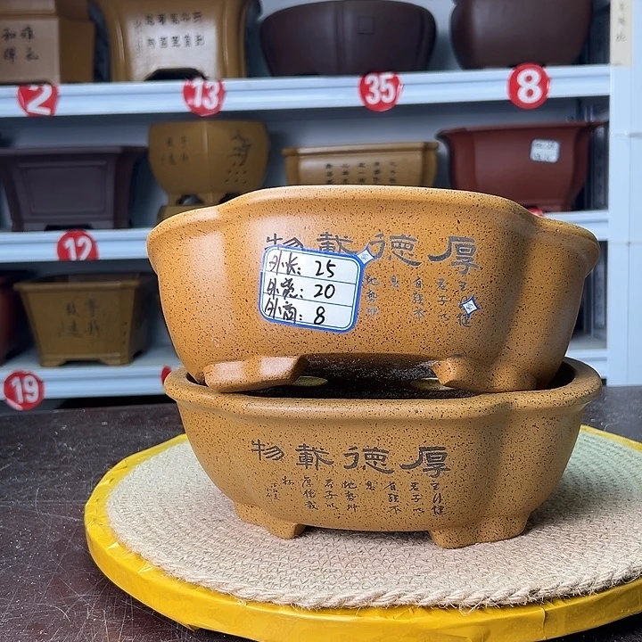紫砂花盆蛇年大吉