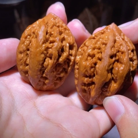 把件文玩核桃东北野生楸子小园 243