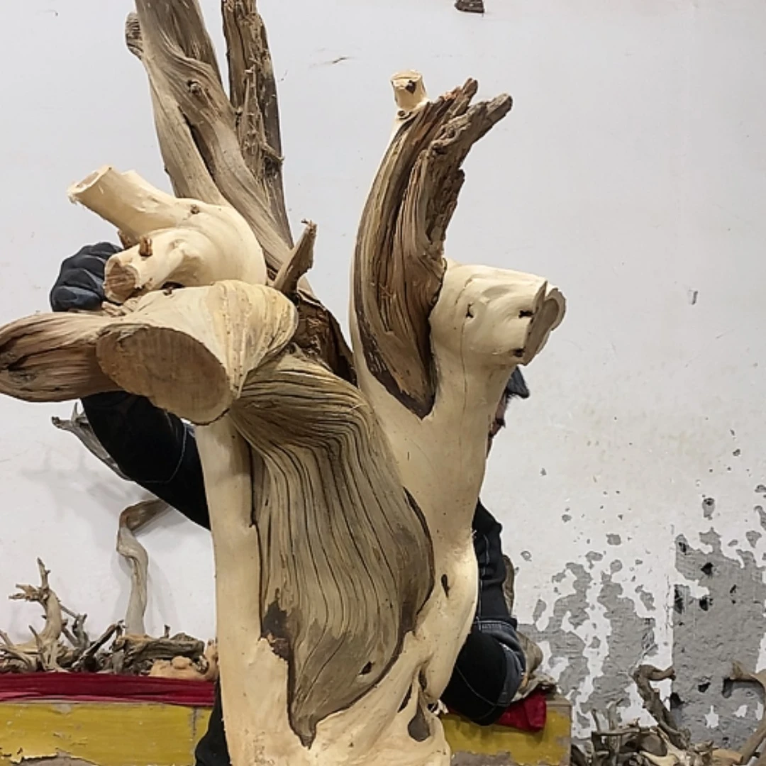 【闪购商品】柏木上****签我们都是好孩子