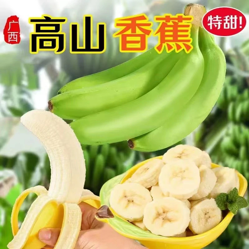 高山大香蕉当季新鲜水果青皮香蕉现摘香甜需催熟甜蕉甜香蕉整箱发