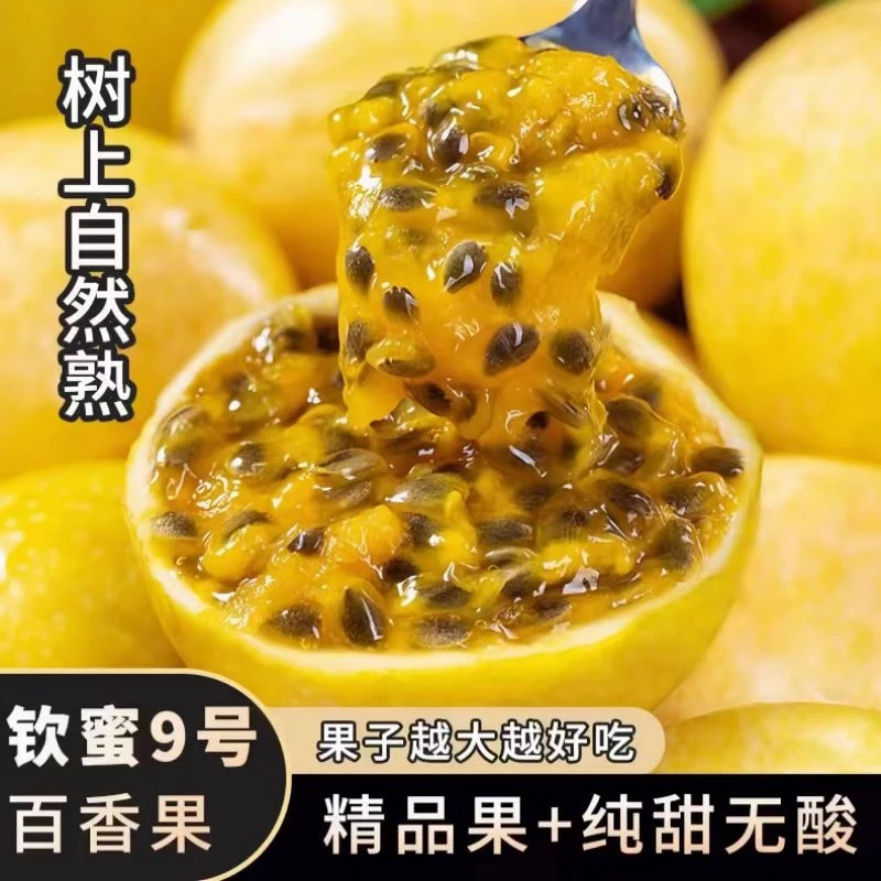 广西大果百香果正宗钦蜜9号黄金百香果新鲜现摘现发【申通快递】