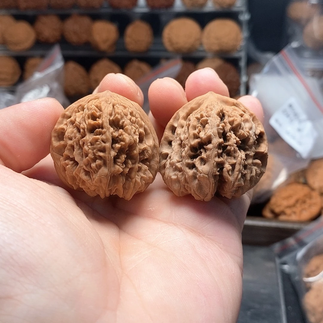 1文玩核桃毒蟾35-444