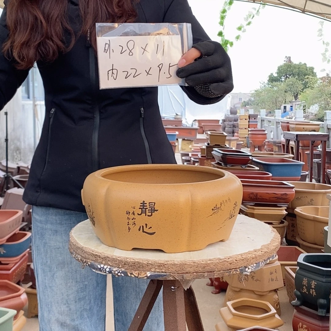 紫砂花盆紫砂花盆