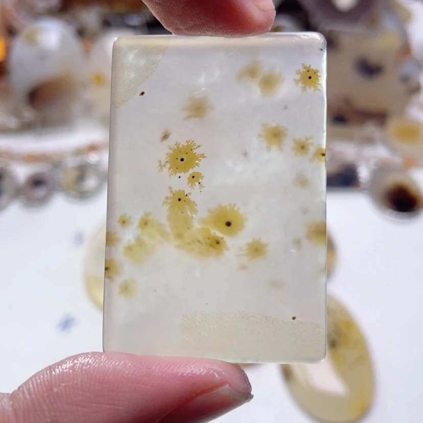 【闪购商品】玛瑙/玉髓颈饰未镶嵌