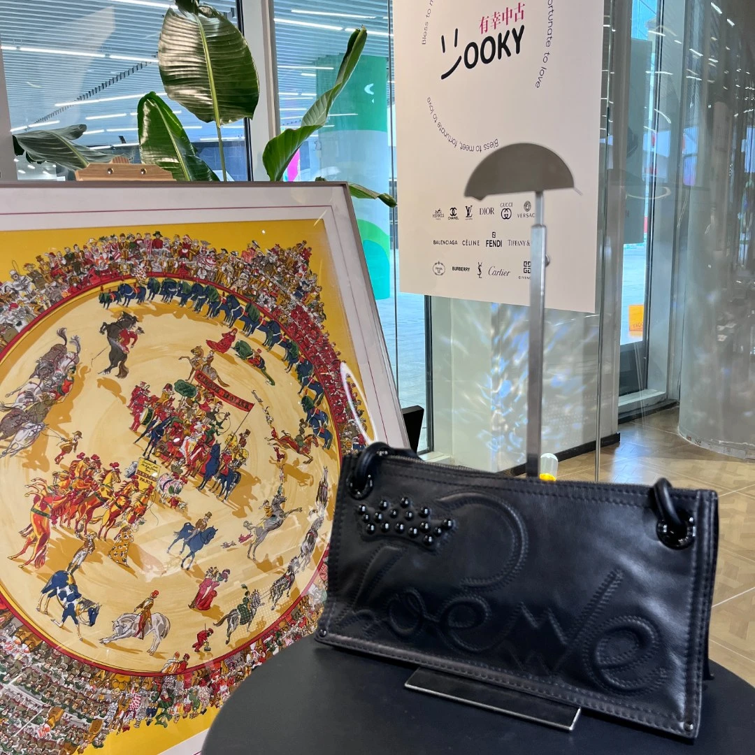 95新 LOEWE/罗意威 a 95新 罗意威 单肩包