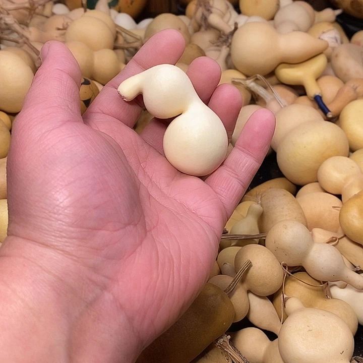 爱***惠精品葫芦手把葫芦63