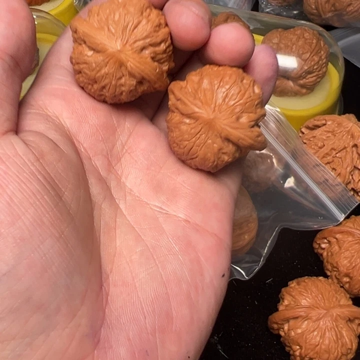核桃36.5，铁锤，已打底