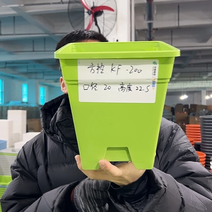 正品方盆口20高22果绿无托6只