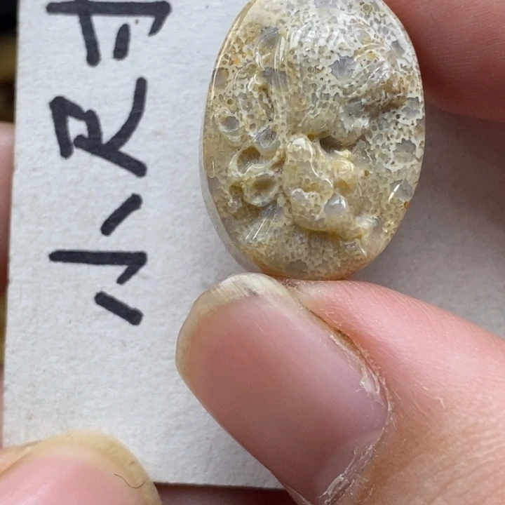 硅化珊瑚（珊瑚玉）未镶嵌颈饰