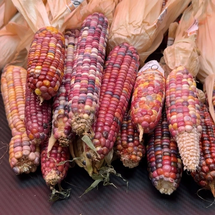 .***.吊坠柏香籽/百香籽