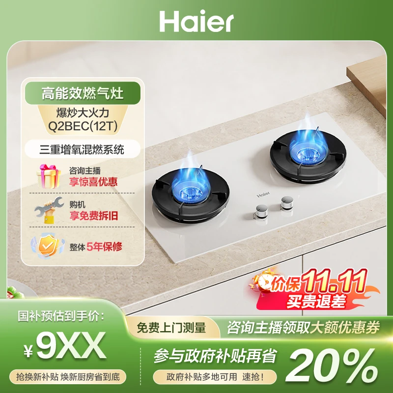 【国补立减20%】海尔麦浪小红花燃气灶双灶5.2kw猛火台嵌两用Q2BEC