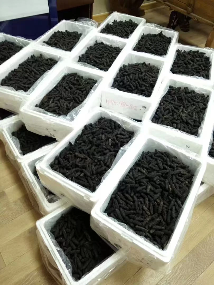 大连纯淡干50头-150头