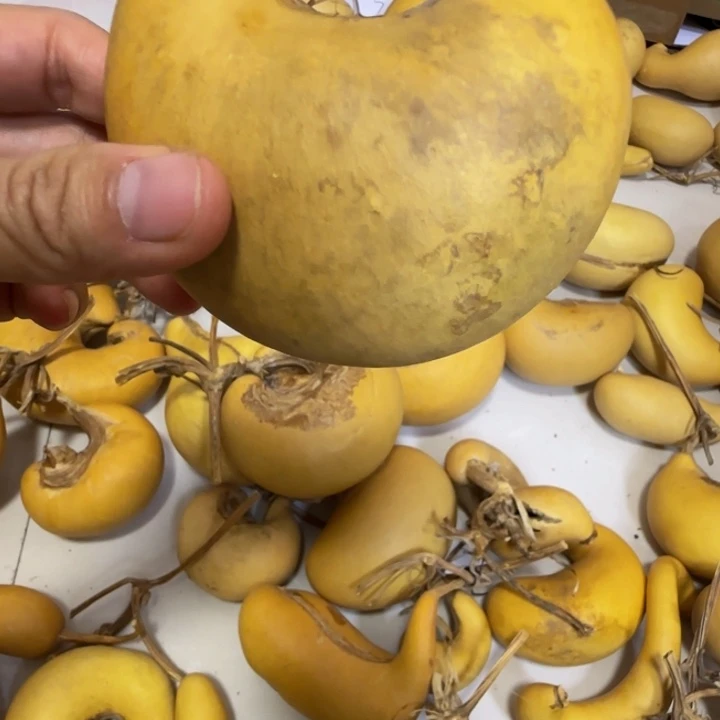 疯**达葫芦葫芦腰子葫芦葫芦腰子