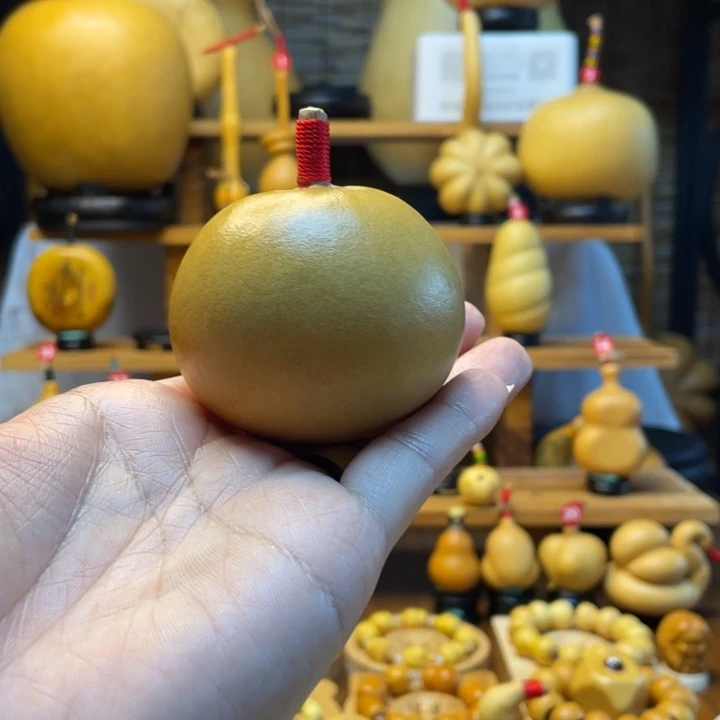 大***室天然葫芦自然生长