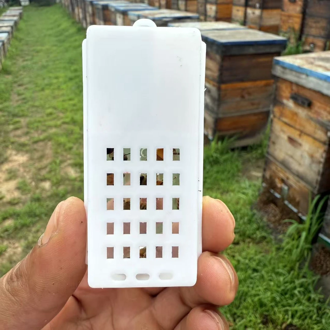 金环一号处女王笼