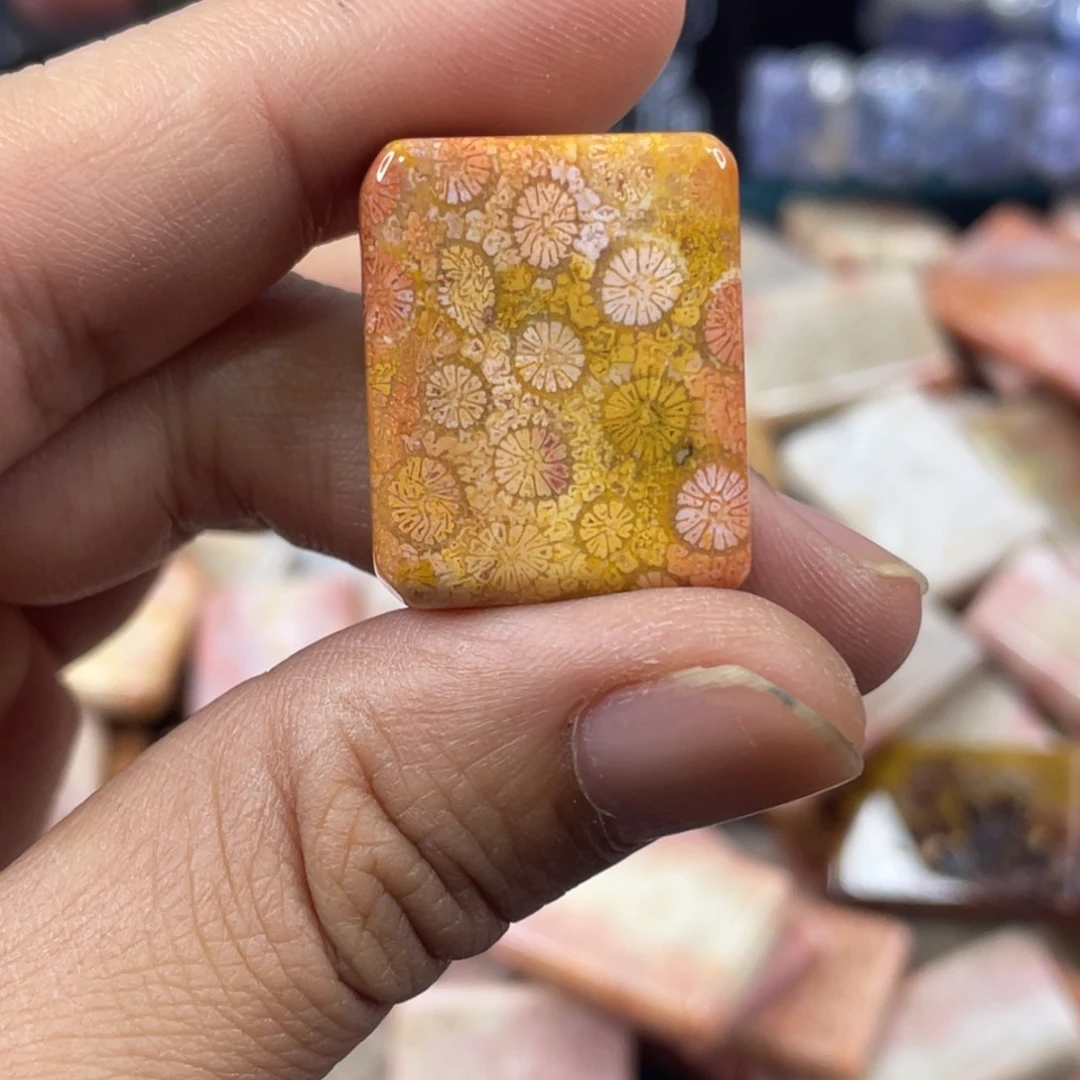 未镶嵌手镯硅化玉