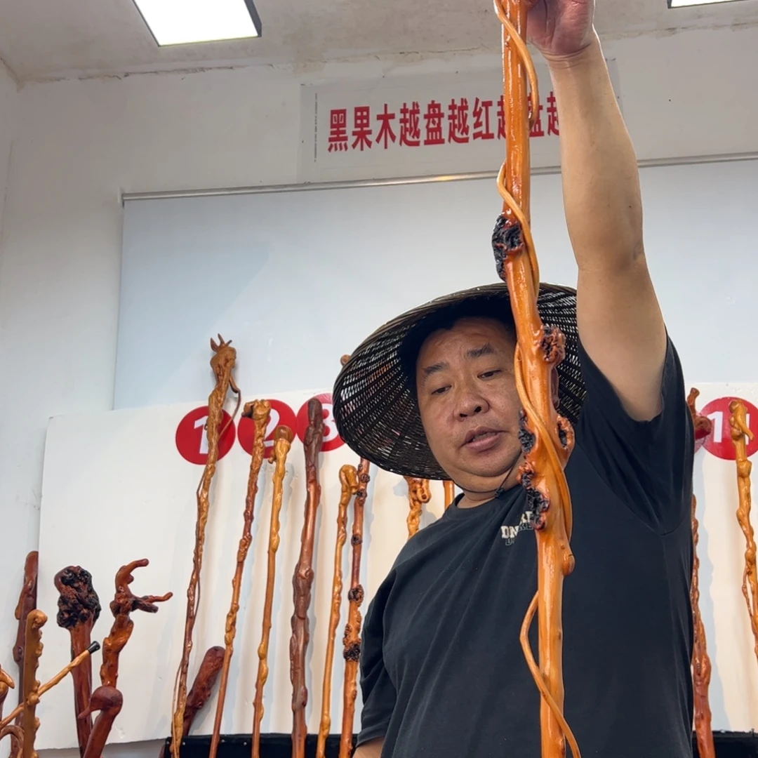 杰***铁黑果木其他黑果木766