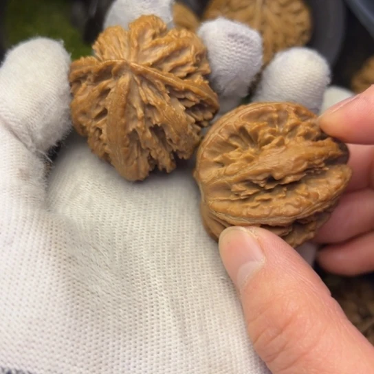 用***0文玩核桃把件秦岭核桃16